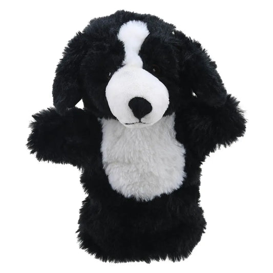 A plush toy resembling an ECO Puppet Buddies Border Collie Hand Puppet with floppy ears, white muzzle and chest, standing upright and facing forward, made from recycled materials.