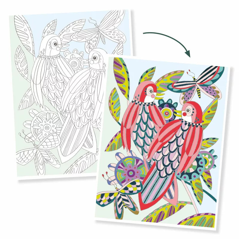 A vibrant set of Djeco Large size colouring Birds featuring beautifully illustrated parrots and butterflies.
