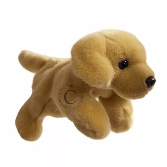 A soft toy hand puppet shaped like The Puppet Company Full-bodied Hand Puppet Labrador.