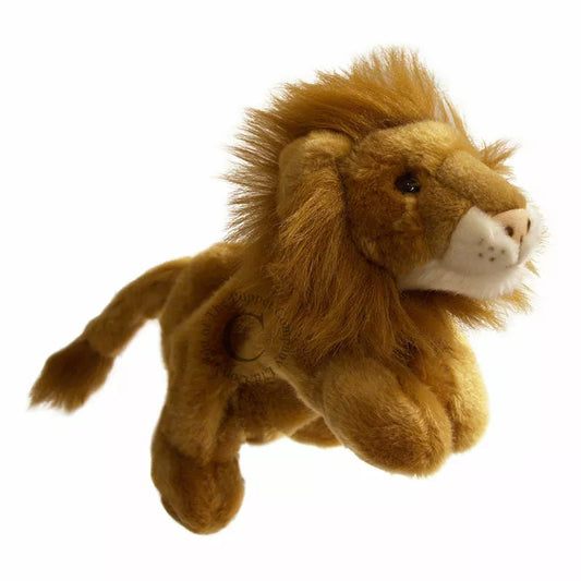 The Puppet Company Full-bodied Hand Puppet Lion is flying on a white background while being controlled.