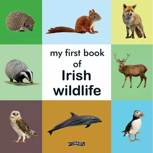 My "My First Book of Irish Wildlife