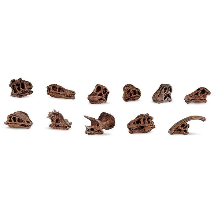 a set of TOOBS® Figurines Dinosaur Skulls on a white background.