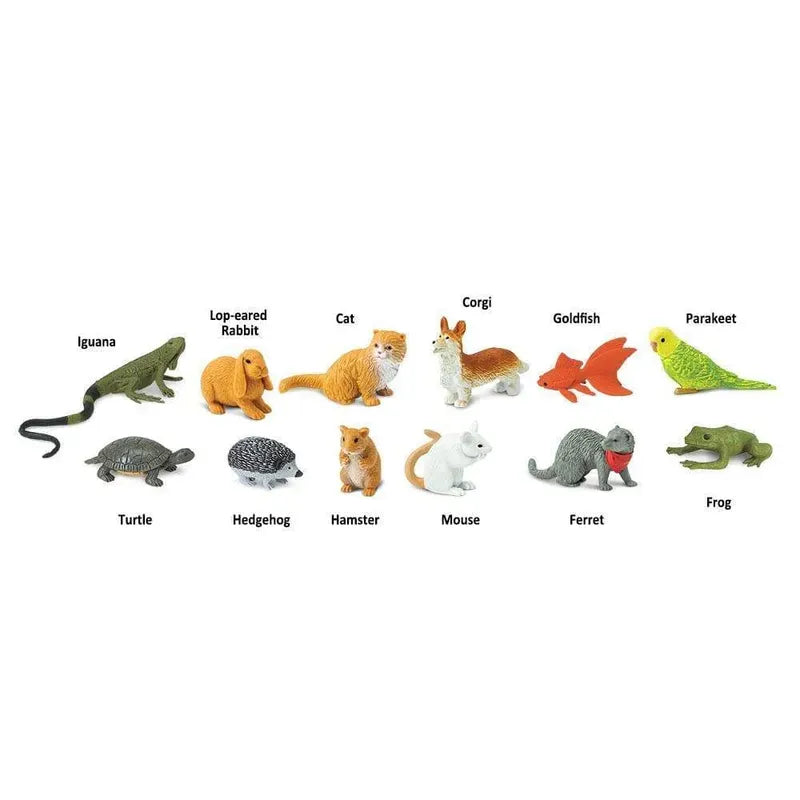 A collection of twelve hand painted TOOB® Figurines Pets including an iguana, lop-eared rabbit, cat, corgi, goldfish, parakeet, turtle, hedgehog.