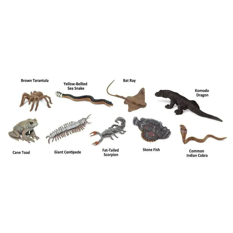 An image displaying TOOB® Figurines Venomous Creatures of various animals, each labeled: cane toad, brown tarantula, giant centipede, yellow-bellied sea snake, fat-tailed scorpion