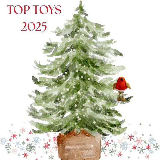 Top 12 Toys for Christmas 2025