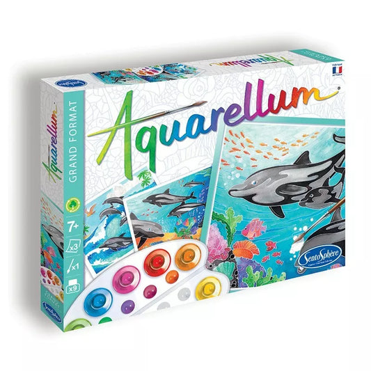 Sentosphere Aquarellum Dolphins - a board game with a dolphin in the box, featuring vibrant colors.