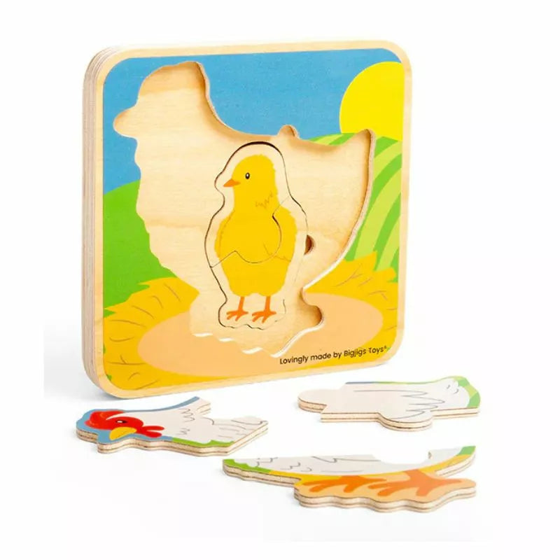 A Bigjigs Lifecycle Puzzle Chicken with a yellow bird on it.