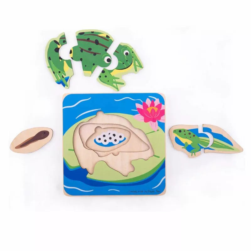A Bigjigs Lifecycle Puzzle Frog with a frog and a turtle on it.