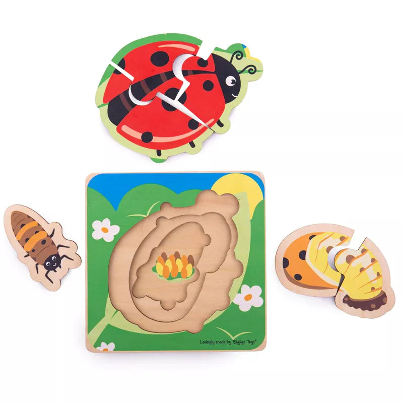 A Bigjigs Lifecycle Puzzle Ladybird, a bee, and a worm in a wooden box that represents their lifecycle.