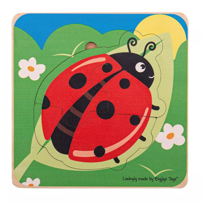 Bigjigs Lifecycle Puzzle Ladybird wooden puzzle.