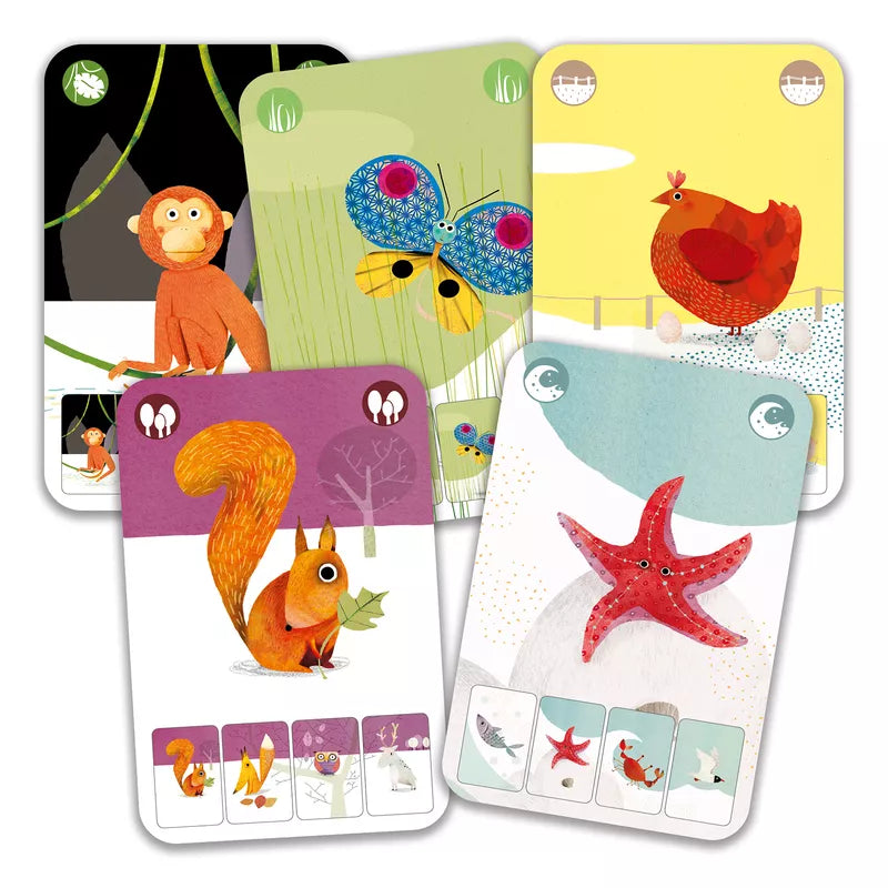 A group of Djeco Playing Cards Mini Nature with animals and birds on them.