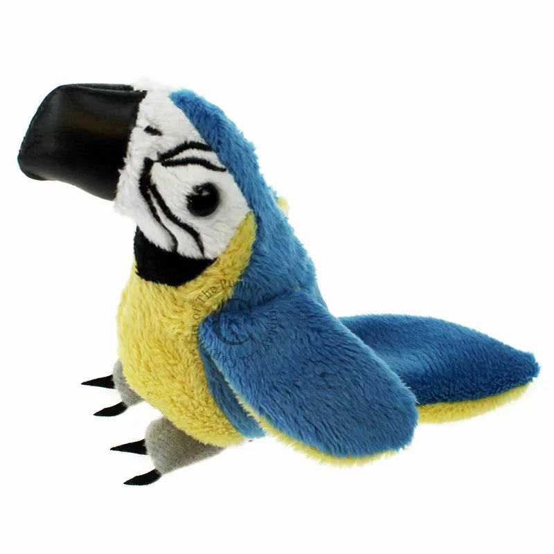 A The Puppet Company Blue & Gold Macaw Finger Puppet with a black beak.