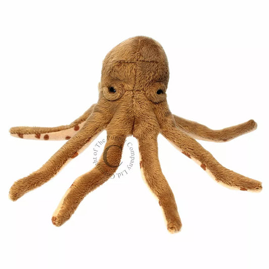 A Finger Puppet Octopus, sized for children or adults’ fingers. Soft padded body, with realistic colours.