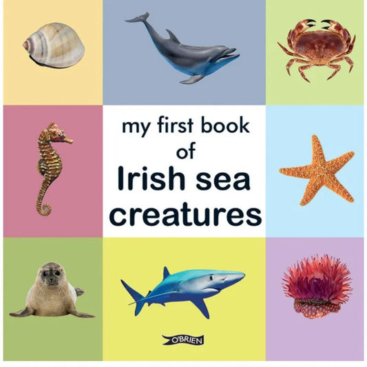 Cover image of a baby board book titled "My First Book of Irish Sea Creatures." The cover features vibrant illustrations of a seashell, dolphin, crab, seahorse, starfish, seal, shark, and anemone within colorful boxes. Ideal for introducing new vocabulary to little ones.