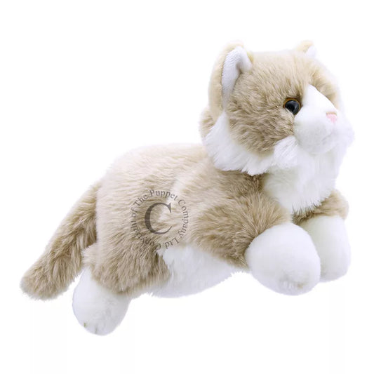 A soft toy of The Puppet Company Full-bodied Hand Puppet Cat with a soft tan and white fur lying down on a white background.