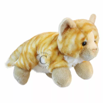 A Full-bodied Hand Puppet Cat Ginger with orange and white stripes.
