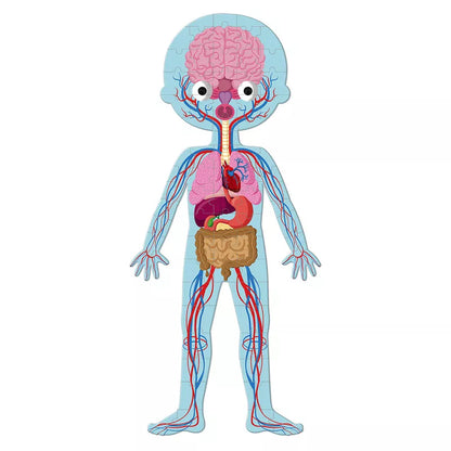 The Janod Educational Puzzle Human Body shows the major organs of the human body in a diagram.