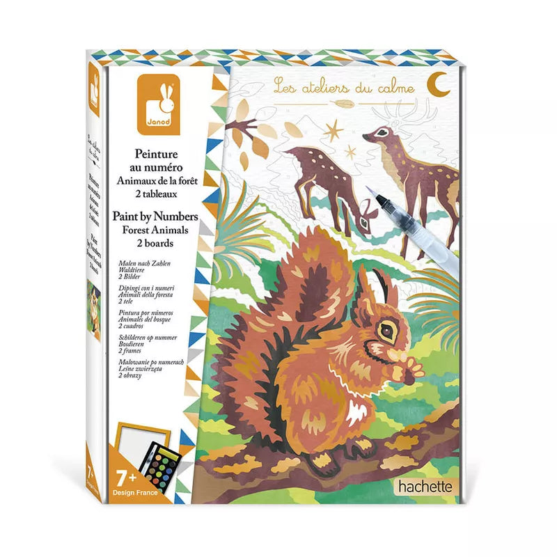 A Janod Paint By Numbers Forest Animals puzzle box with a picture of a squirrel.