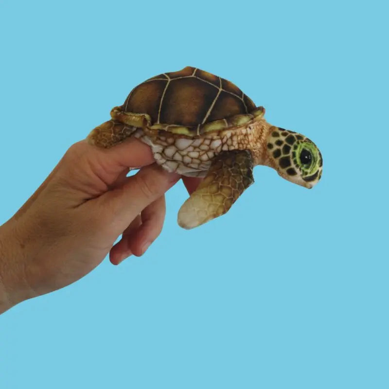 A hand holds The Puppet Company Turtle Finger Puppet from the Little Creatures Range against a plain light blue background—a small, realistic soft toy perfect for gentle cuddles.