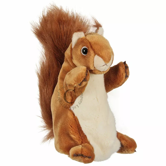 A Long Sleeved Hand Puppet with the head of a Squirrel. Made of soft and furry material, with a realistic looking face and is mouth moving.