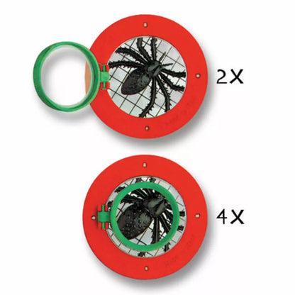 Two red and green circles with a curious black spider, perfect for outdoor play and Navir World’s Best Bug Viewer enthusiasts.