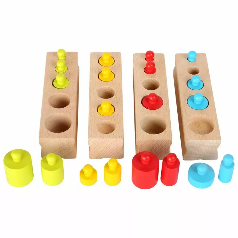 A Wild Colours Puzzle Game with different colored pegs.