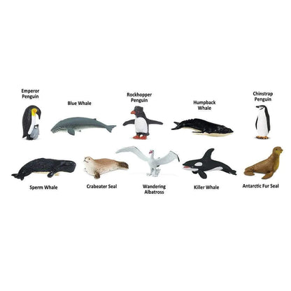a group of different types of sea animals.