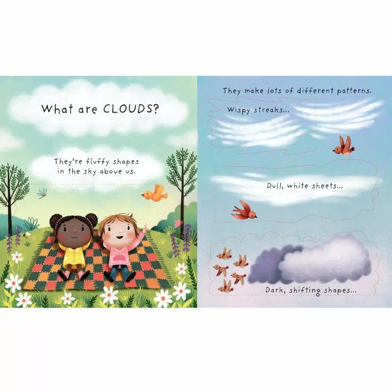 Explore the fascinating world of Usborne Lift-the-flap Very First Questions and Answers: What are Clouds? through enchanting children's books.