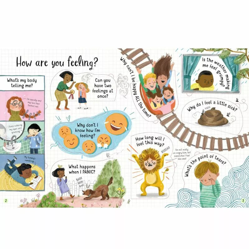 How are kids feeling with the Usborne Lift-the-flap Questions and Answers about Feelings in everyday situations?