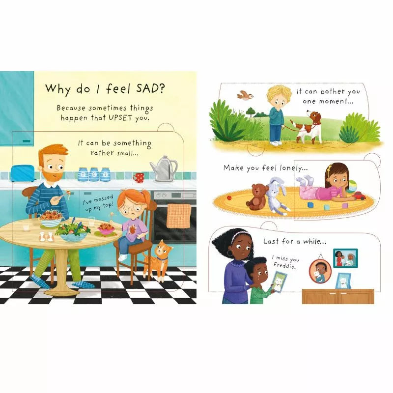 Why do I feel so good? Usborne Lift-the-flap Very First Questions and Answers: Why do I (sometimes) feel sad?