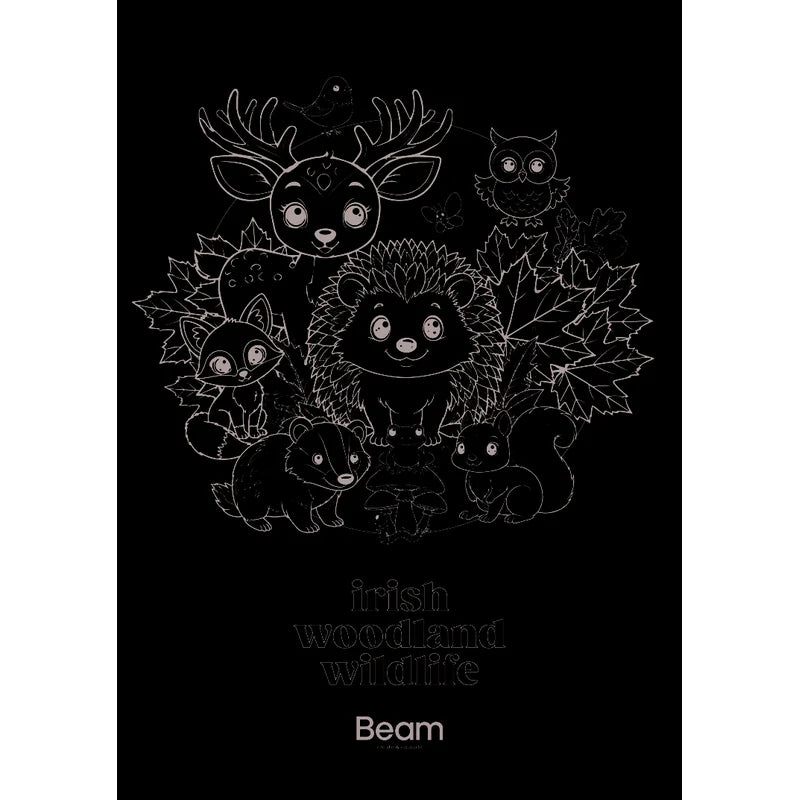 Irish Woodland Wildlife - Activity Book & Giant Colouring Poster
