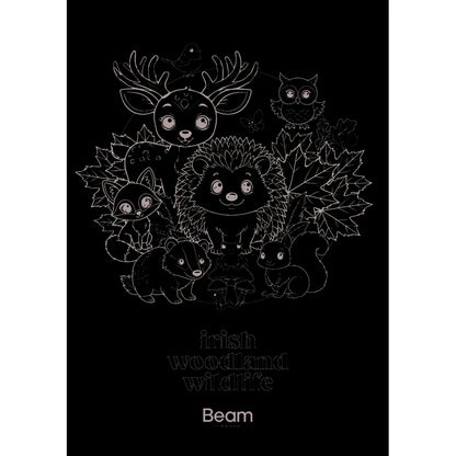 Irish Woodland Wildlife - Activity Book & Giant Colouring Poster